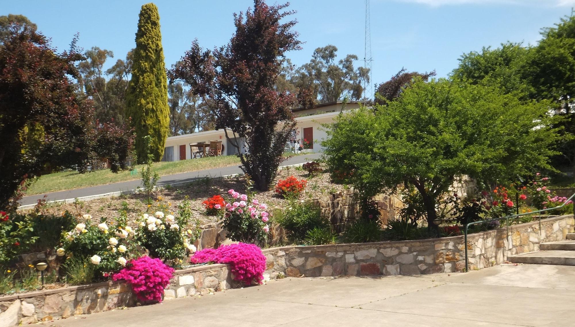 Clare Valley Motel Εξωτερικό φωτογραφία