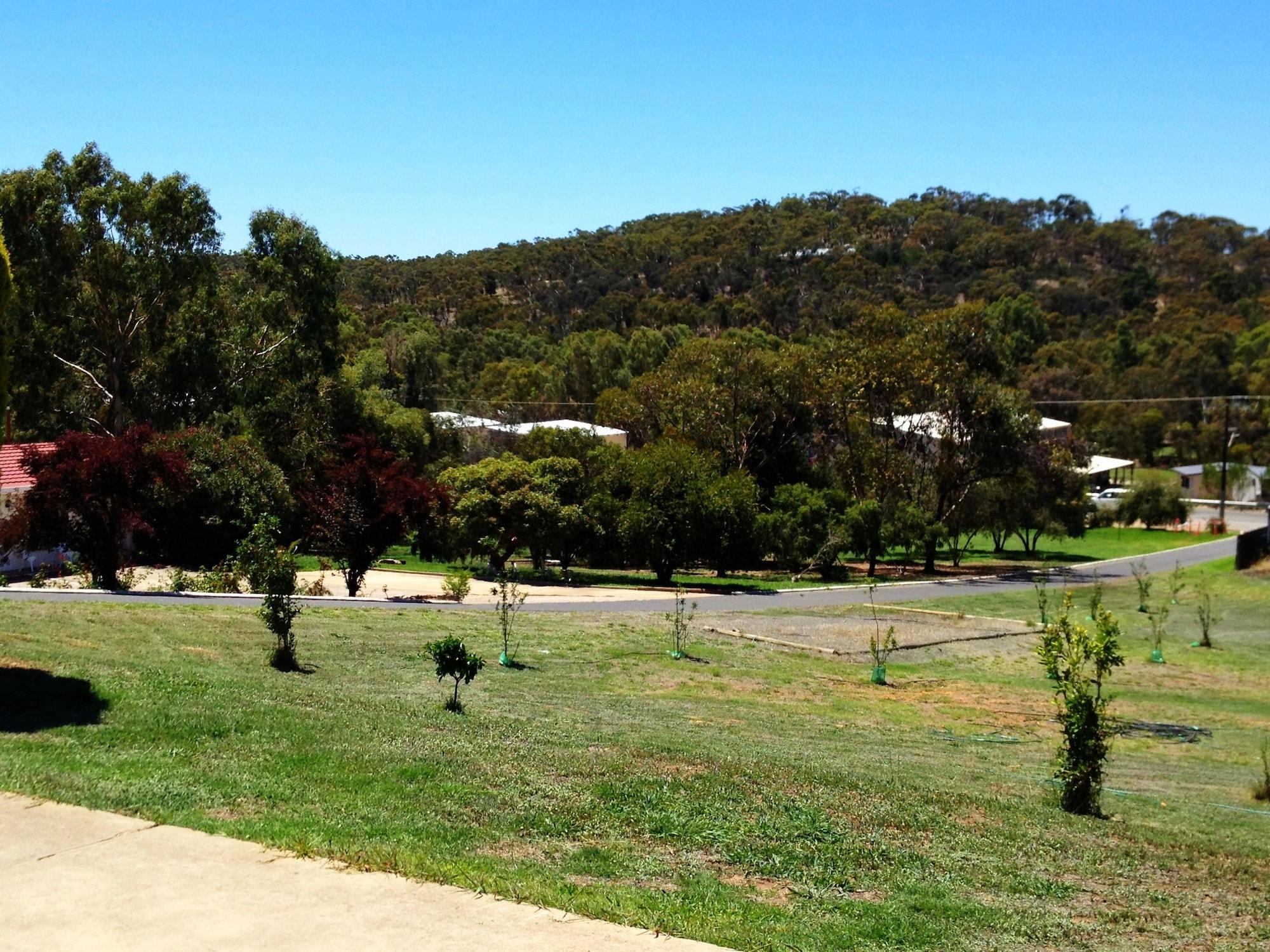 Clare Valley Motel Εξωτερικό φωτογραφία