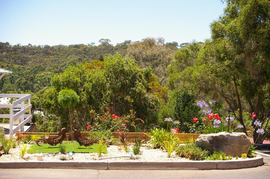 Clare Valley Motel Εξωτερικό φωτογραφία