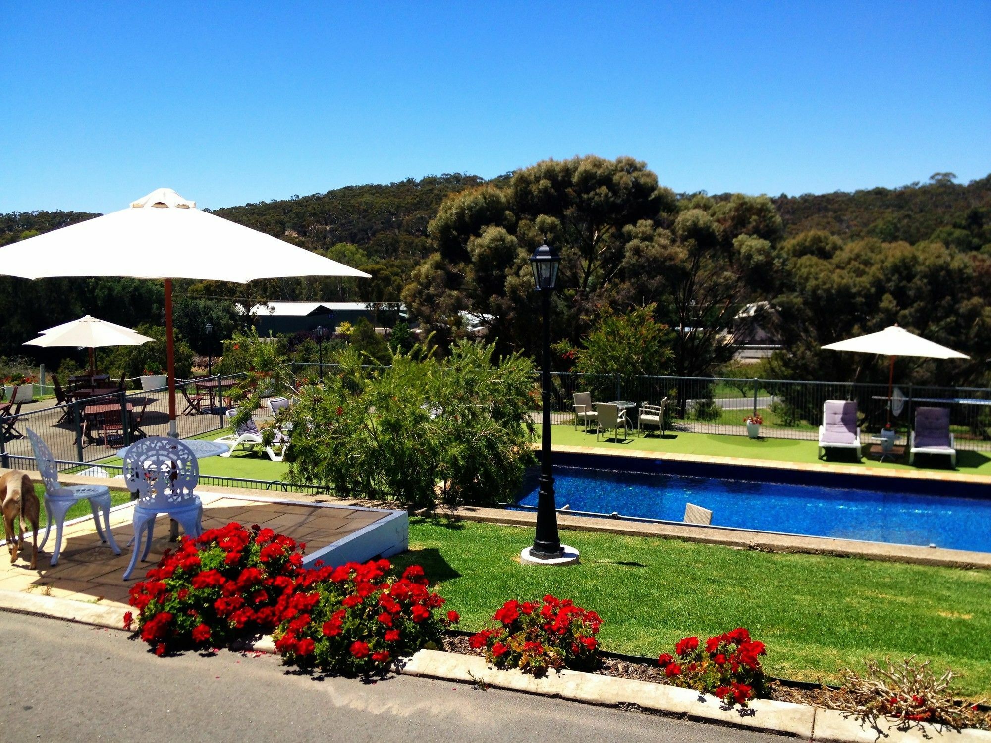 Clare Valley Motel Εξωτερικό φωτογραφία
