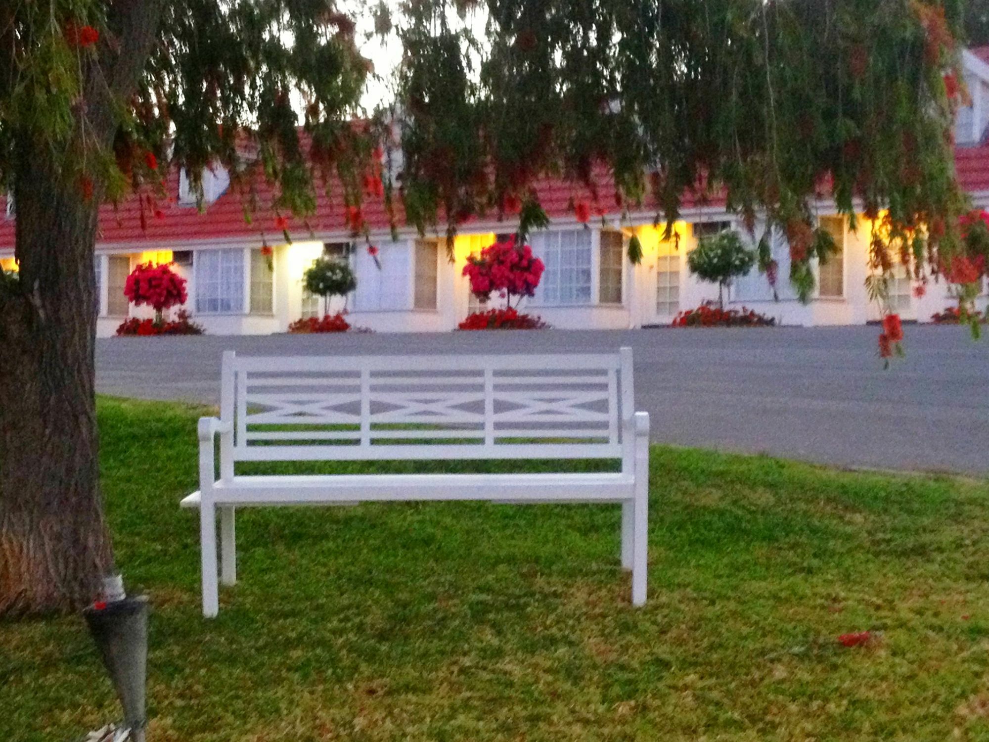 Clare Valley Motel Εξωτερικό φωτογραφία